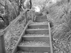 The Hidden Path